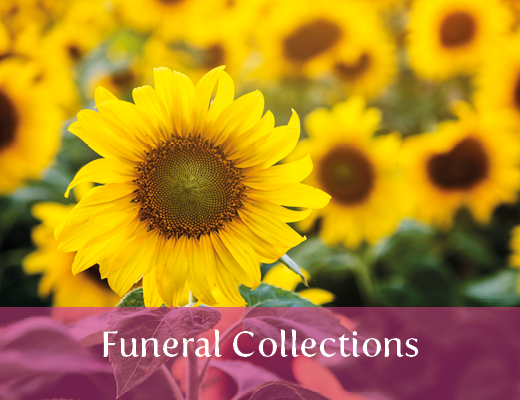 Funeral Collections