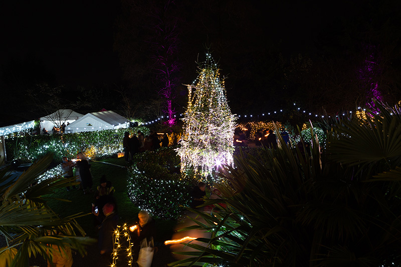 Festival-of-Light-2022110.jpg