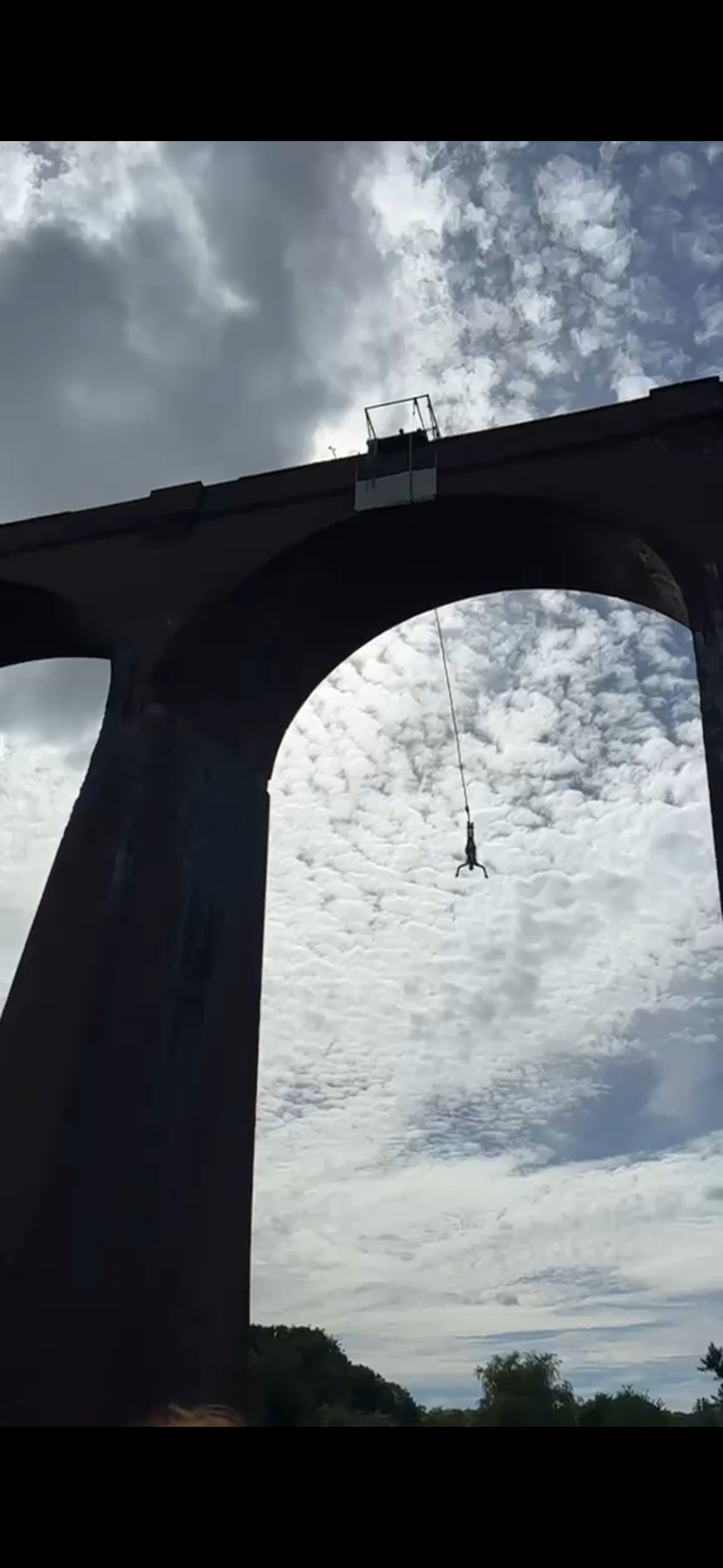 Hayley bungee.png
