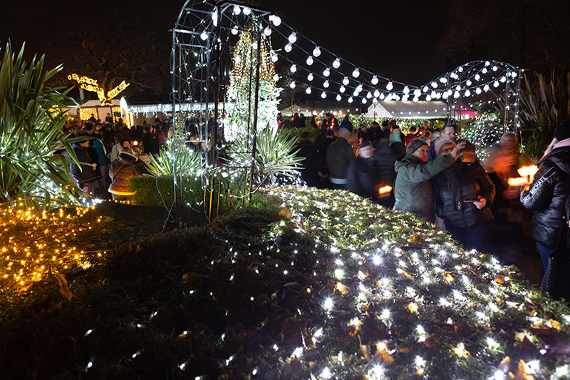 Festival-of-Light-2022092.jpg