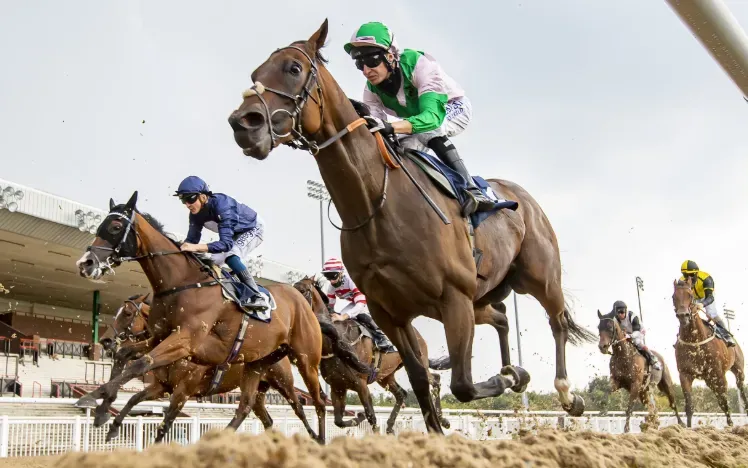 Race Night.webp