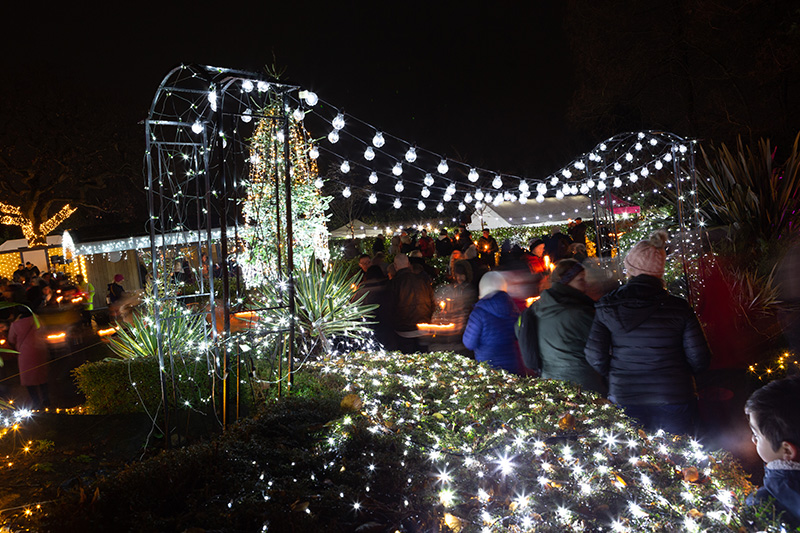 Festival-of-Light-2022109.jpg