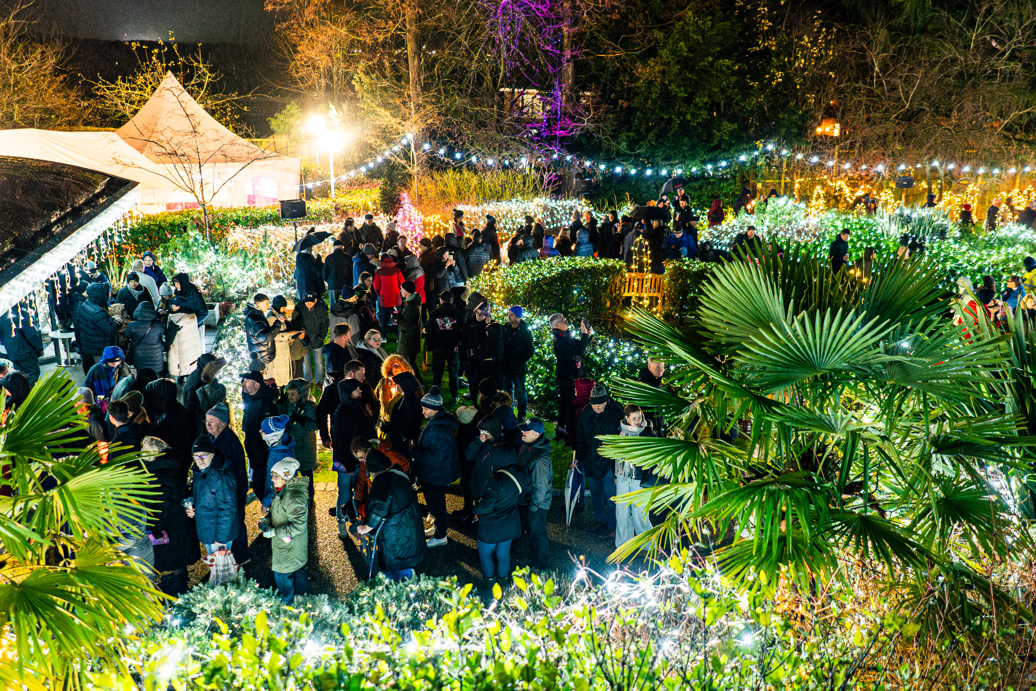20251207 - St Lukes - Festival of Light_LOW_RES-230.jpg