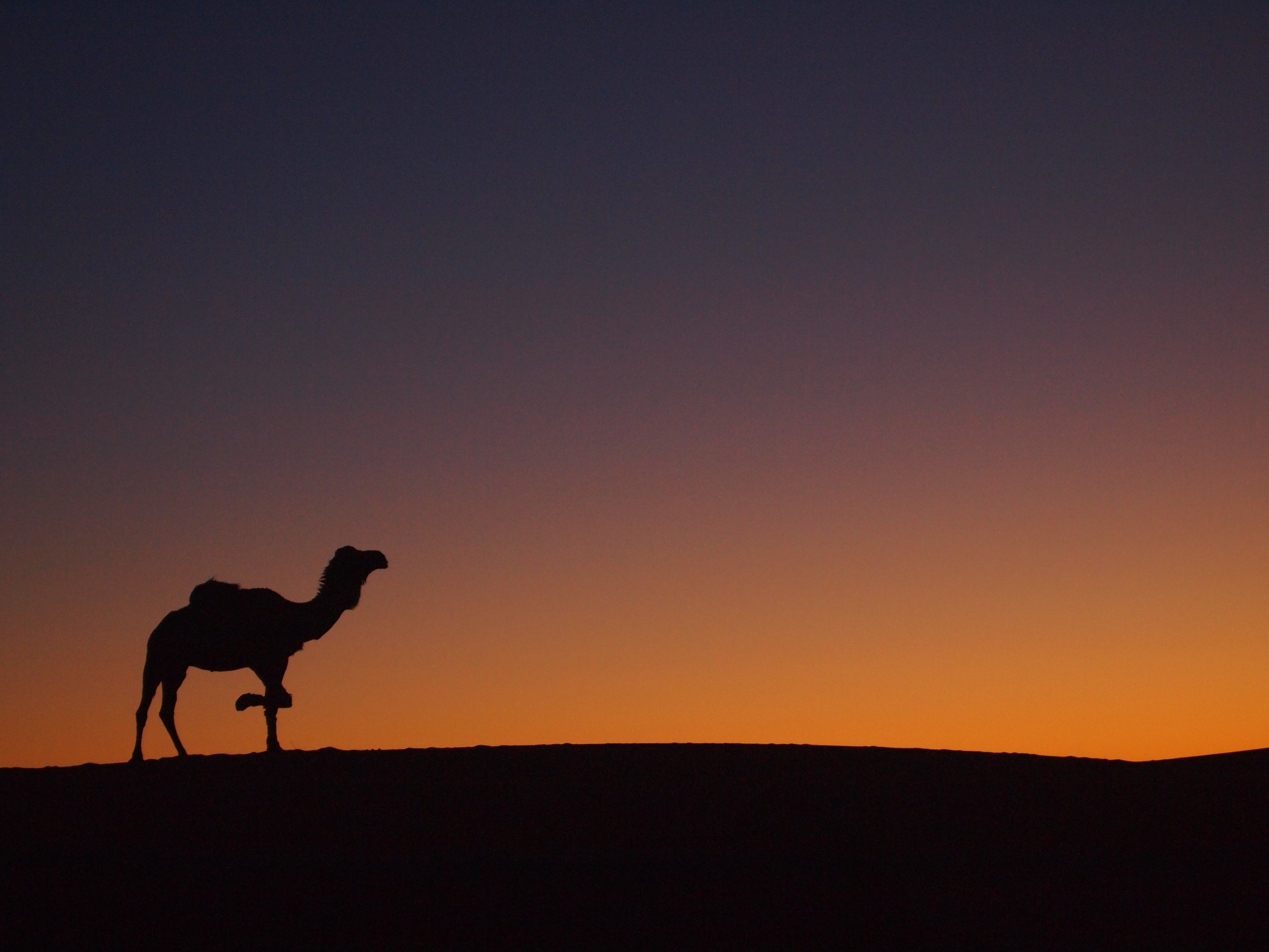 Morocco-Sahara-Desert-1610831ae9-3ad1-481d-9469-39a3aa8e9b96.jpg