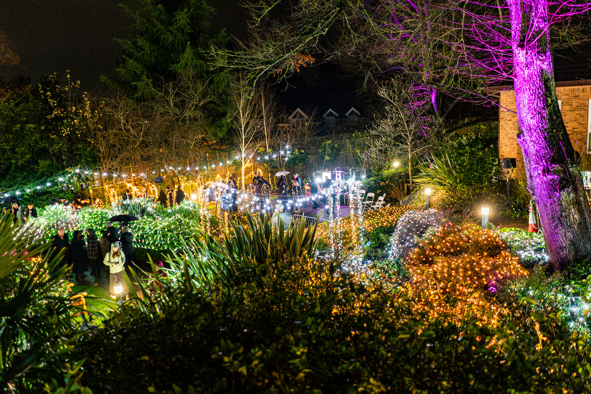 20251207 - St Lukes - Festival of Light_LOW_RES-228.jpg
