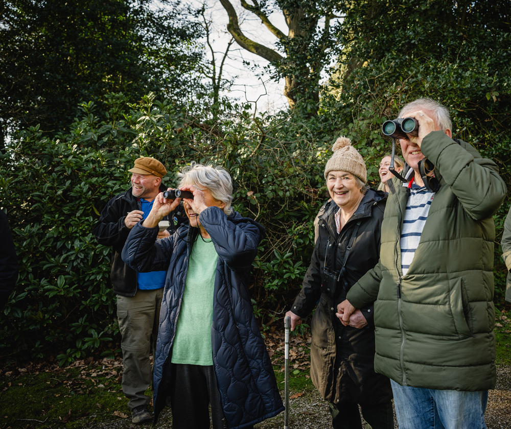 Social Prescribing Birdwatching.png