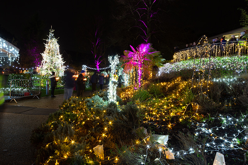 Festival-of-Light-2022103.jpg